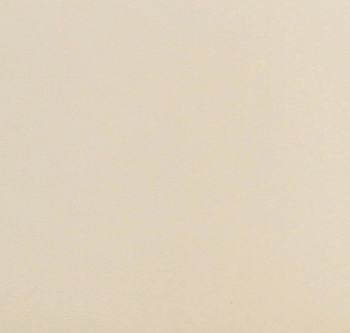 كرسي طعام "ليو" من الجلد النباتي عالي الأداء