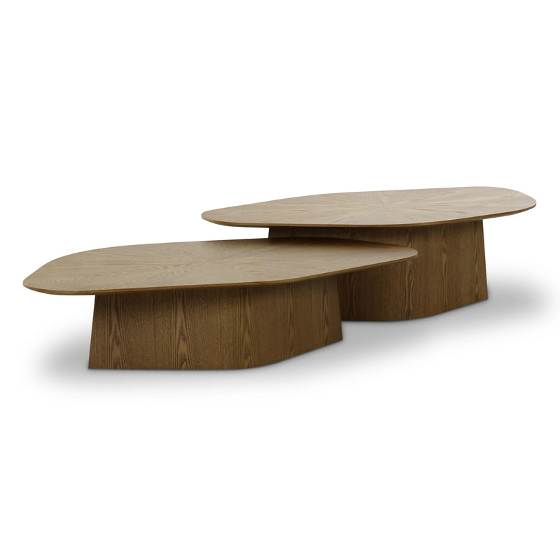 Roche 2-Piece Ash Nesting Coffee Table Set