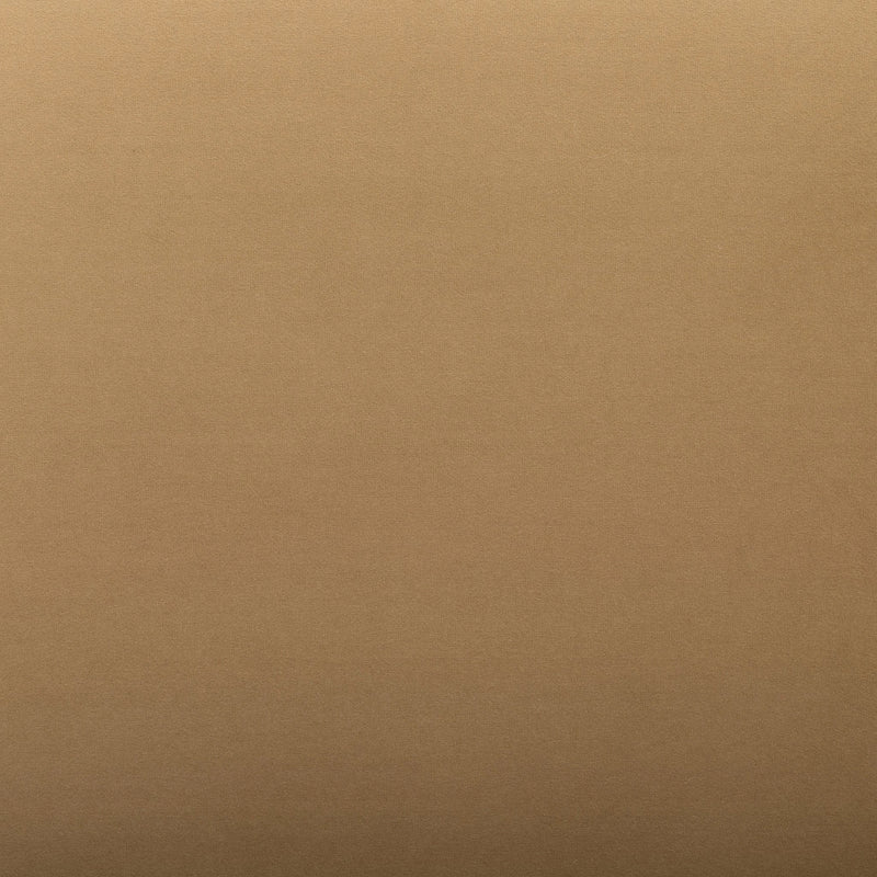 Foxy Dining Chair