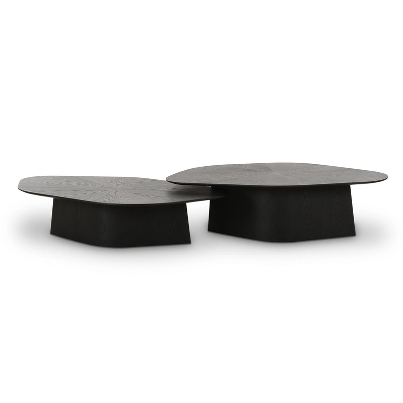 Roche 2-Piece Ash Nesting Coffee Table Set