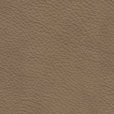 أريكة فيرونيلا المقطعية