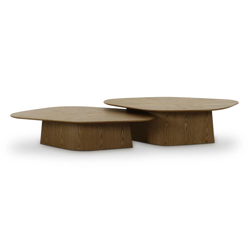 Roche 2-Piece Ash Nesting Coffee Table Set
