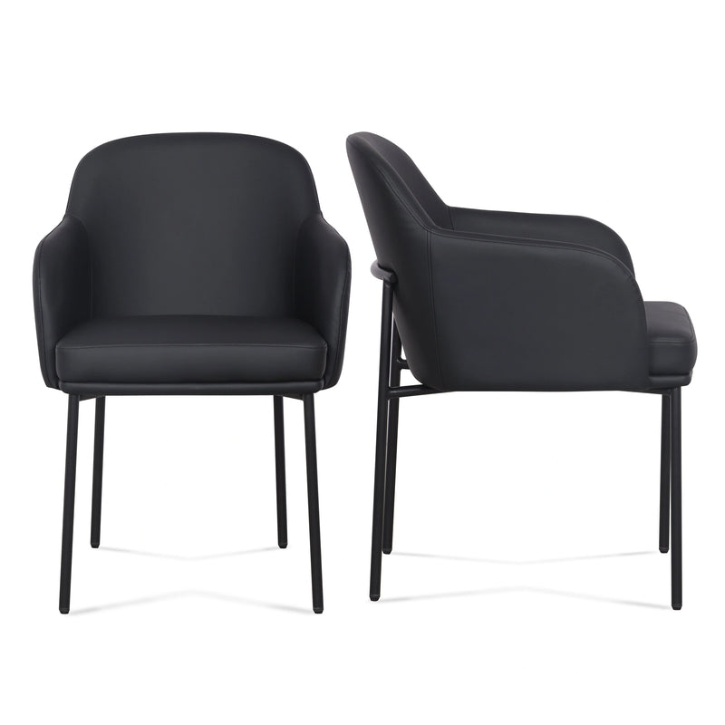 Sydney Armchair - Set of 2