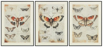 Jossletts Wall Art (Set of 3)