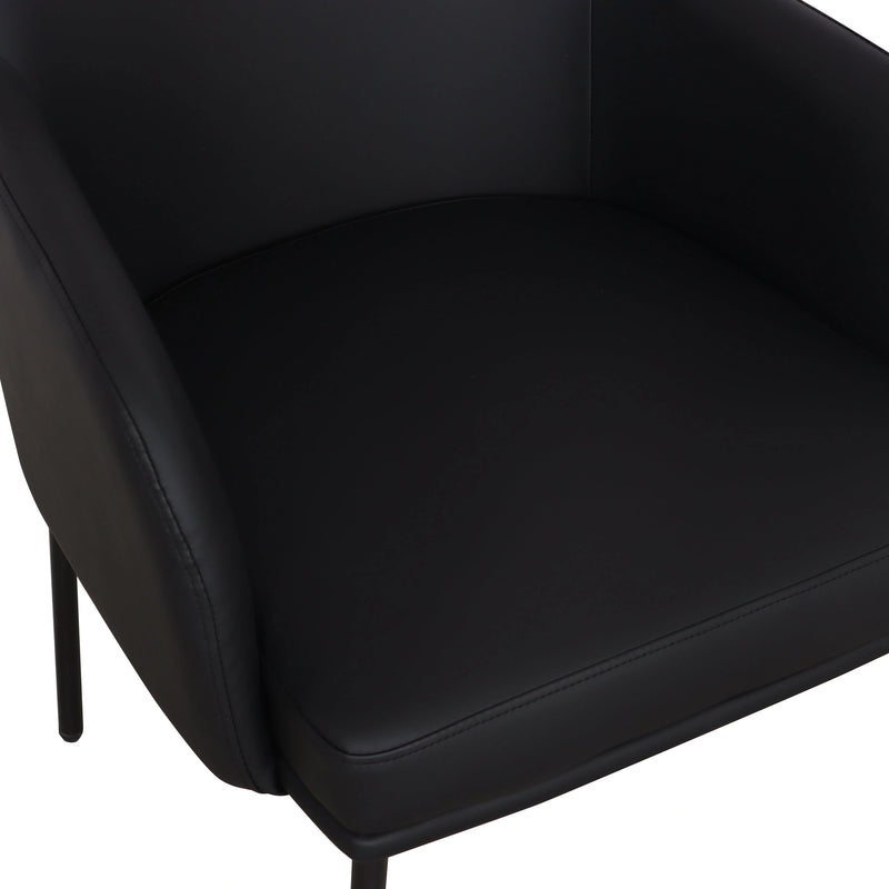 Sydney Armchair - Set of 2