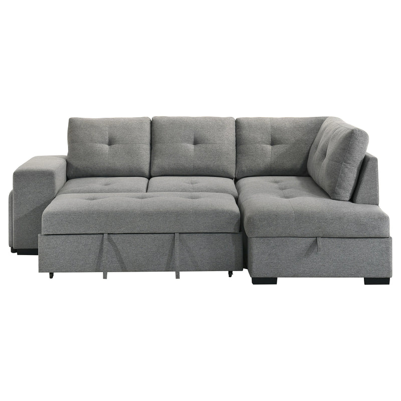 Roanne Pull-Out Sleeper Sectional Sofa